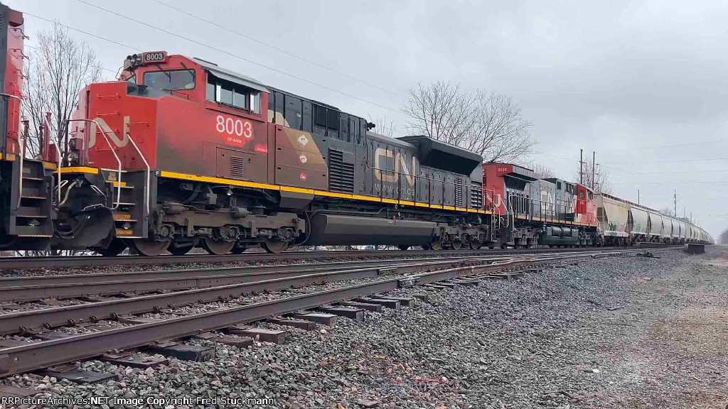 CN 8003